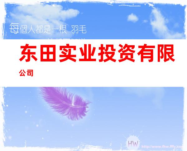 东田实业投资有限公司