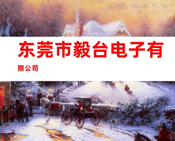 东莞市毅台电子有限公司