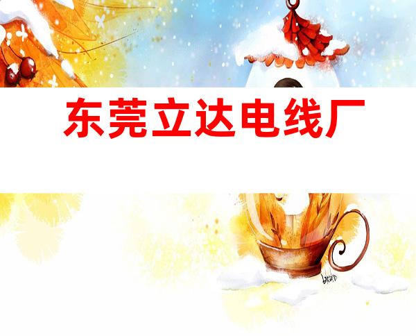 东莞立达电线厂
