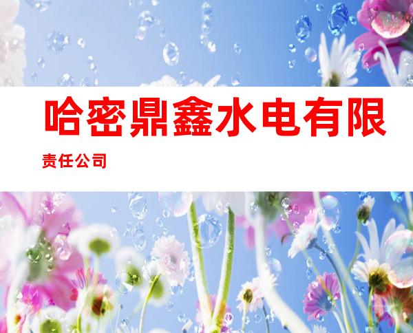 哈密鼎鑫水电有限责任公司