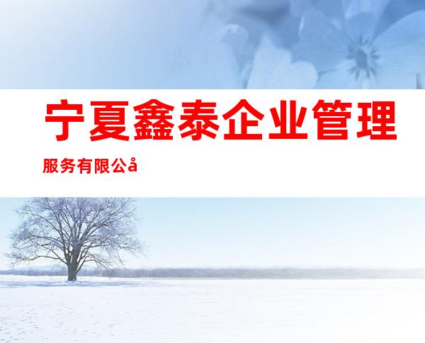 宁夏鑫泰企业管理服务有限公司