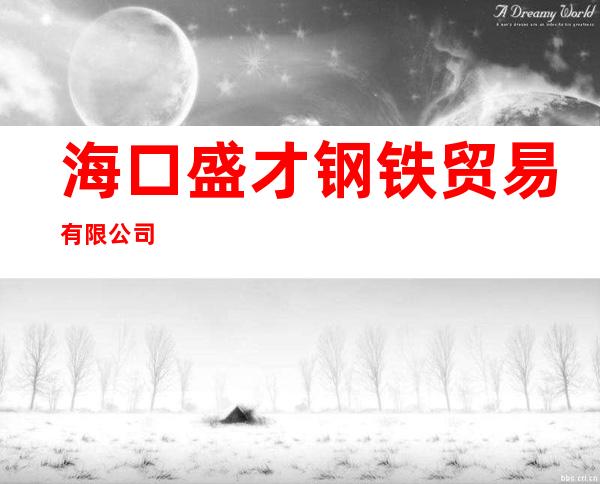 海口盛才钢铁贸易有限公司